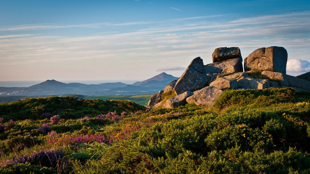 Dublin Mountains view