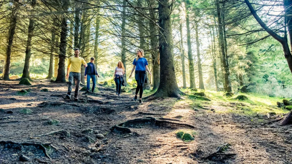 Header-Hiking-Dublin-Mountains